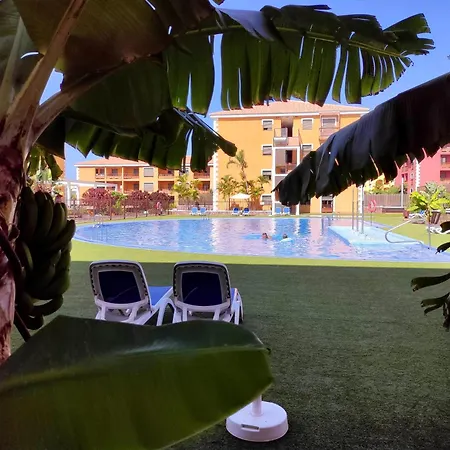 Casa Ludovica: Comfort Y Relax 公寓 滨海帕尔姆